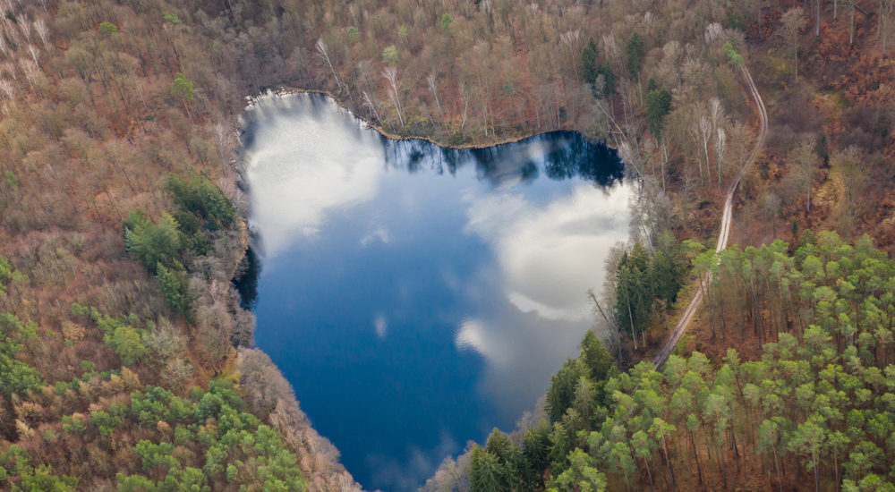 Jezioro Rakowe - jezioro w kształcie serca w Polsce, w gminie Szydłowo, 20 minut drogi od Piły. Fot. Sławek Nakoneczny