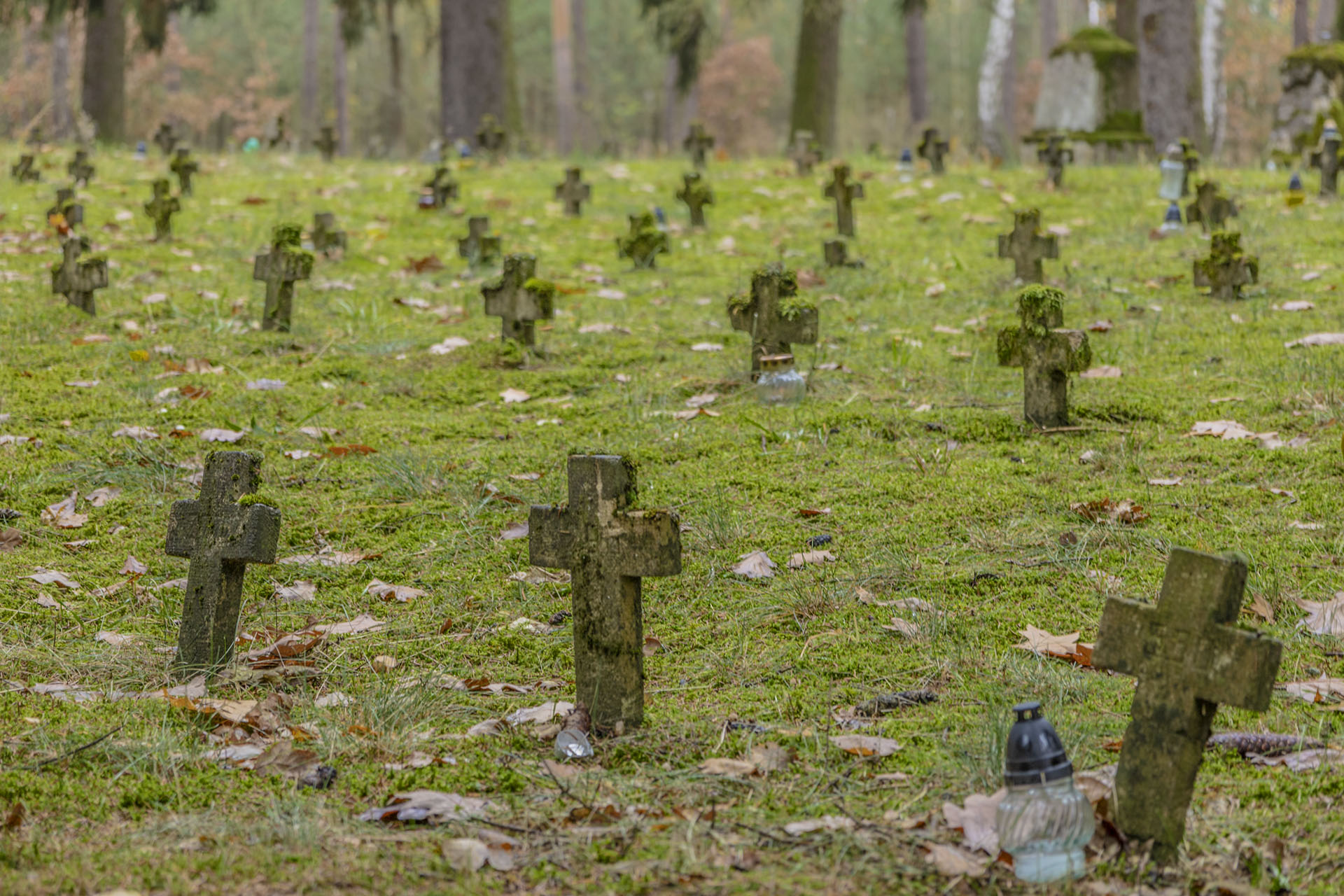 Jeden z dwóch cmentarzy wojennych w Leszkowie. Fot. Marcin Maziarz