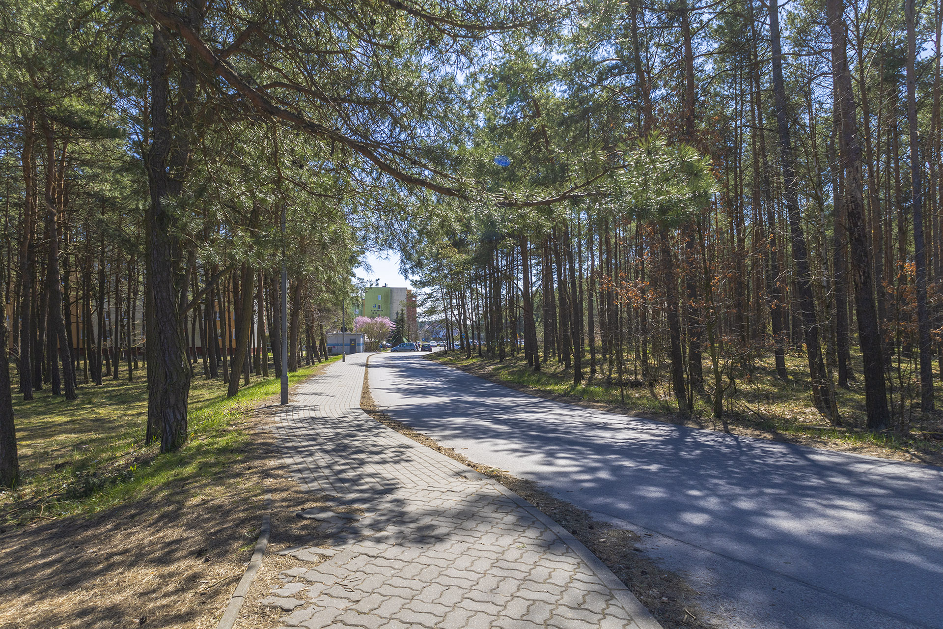 Ulica Półwiejska prowadząca do osiedla przy Zamenhofa. Fot. Marcin Maziarz