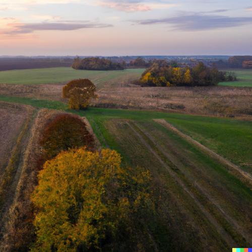 DALL·E 2023-01-08 00.14.26 - Typowy jesienny krajobraz Północnej Wielkopolski.