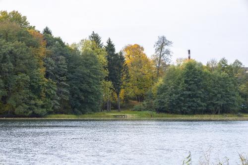 Jezioro Bytyń Wielki w Nakielnie. Fot. Marcin Maziarz