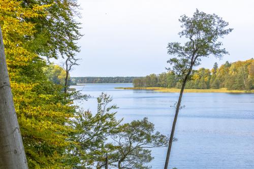 Widok z czatowni nad jeziorem Bytyń Wielki w Nakielnie. Fot. Marcin Maziarz