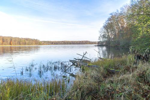 Złota jesień nad jeziorem Bytyń Wielki w Nakielnie. Fot. Marcin Maziarz