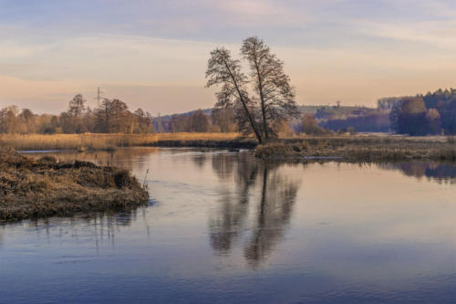 Meandry Gwdy w Pile - Kalinie. Königsblick - Królewski Widok. Fot. Marcin Maziarz