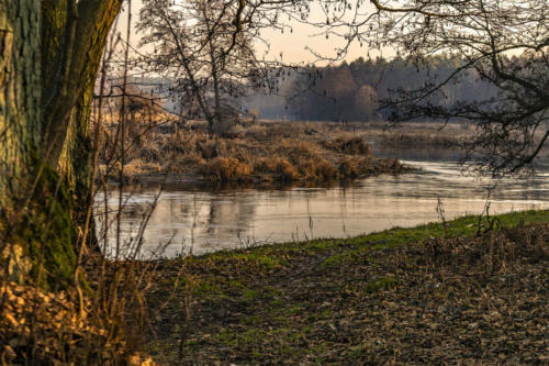 Meandry Gwdy w Pile - Kalinie. Königsblick - Królewski Widok. Fot. Marcin Maziarz