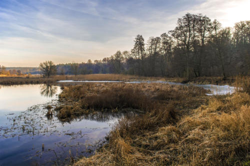 Meandry Gwdy w Pile - Kalinie. Königsblick - Królewski Widok. Fot. Marcin Maziarz
