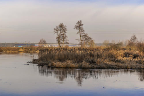 Meandry Gwdy w Pile - Kalinie. Königsblick - Królewski Widok. Fot. Marcin Maziarz
