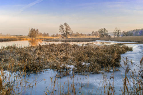 Meandry Gwdy w Pile - Kalinie. Königsblick - Królewski Widok. Fot. Marcin Maziarz