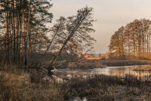 Meandry Gwdy w Pile - Kalinie. Königsblick - Królewski Widok. Fot. Marcin Maziarz