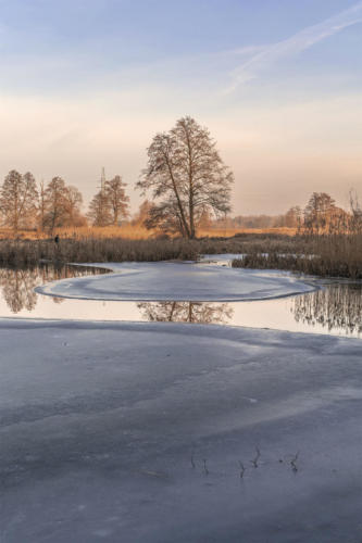 Meandry Gwdy w Pile - Kalinie. Königsblick - Królewski Widok. Fot. Marcin Maziarz
