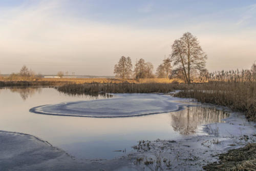 Meandry Gwdy w Pile - Kalinie. Königsblick - Królewski Widok. Fot. Marcin Maziarz