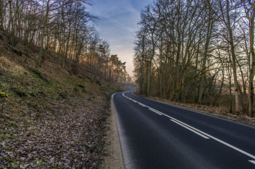 Piła - Kalina. Königsblick - Królewski Widok. Fot. Marcin Maziarz