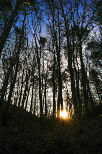 Piła - Kalina. Königsblick - Królewski Widok. Fot. Marcin Maziarz
