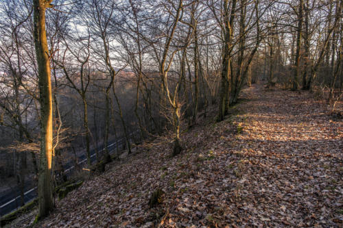 Piła - Kalina. Königsblick - Królewski Widok. Fot. Marcin Maziarz