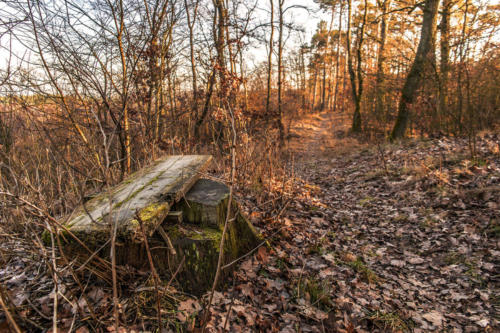 Piła - Kalina. Königsblick - Królewski Widok. Fot. Marcin Maziarz