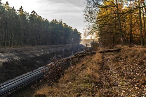 Piła - Kalina. Königsblick - Królewski Widok. Fot. Marcin Maziarz