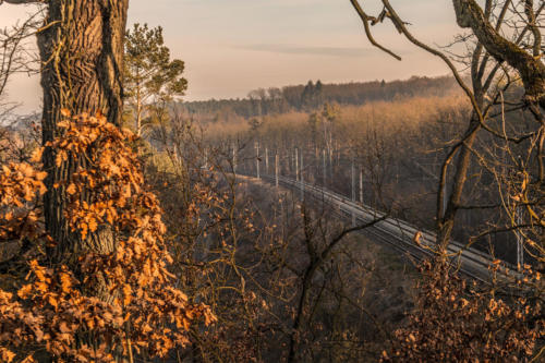 Piła - Kalina. Königsblick - Królewski Widok. Fot. Marcin Maziarz