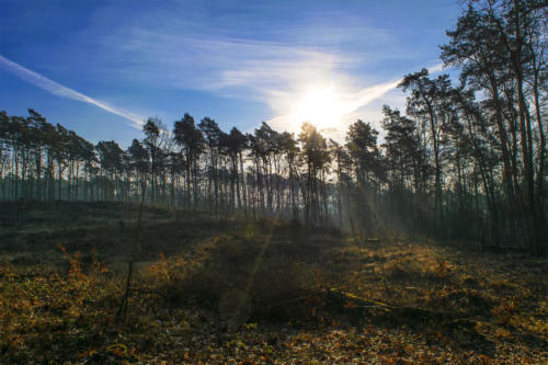 Piła - Kalina. Königsblick - Królewski Widok. Fot. Marcin Maziarz