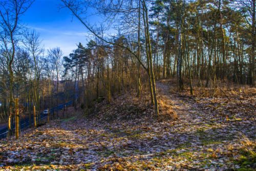 Piła - Kalina. Königsblick - Królewski Widok. Fot. Marcin Maziarz