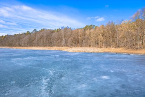 Pierwszy słoneczny dzień przedwiośnia nad Jeziorem Piaszczystym w Pile. Fot. Marcin Maziarz