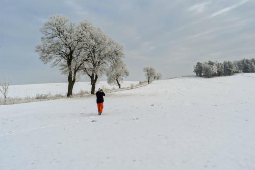 Zimowy poranek w okolicy Piły. Fot. Marcin Maziarz