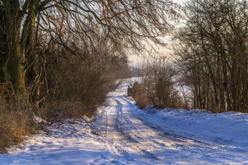 Dolina Noteci pod śniegiem. Fot. Marcin Maziarz